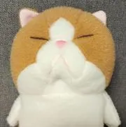 ゆきち之助*プロフィールに詳細載せてますの画像