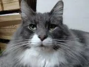 釣りに行こう