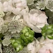 るんるんの画像