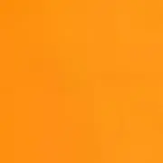 みかんの画像