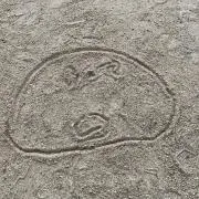 e.の画像