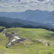 ppfmoriの画像