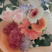 ゆめの画像