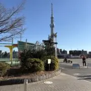 Riringoの画像