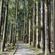 868645の画像