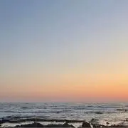 riiの画像