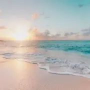 あこの画像