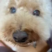 h(プロフ必読必須)
