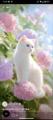 yuzu☆の画像