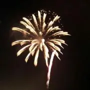クイッポの画像
