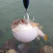 とも