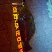 Fishing.09の画像
