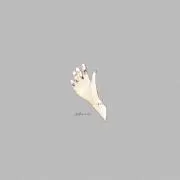 miの画像