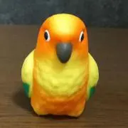 アッキーの画像