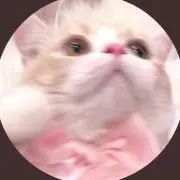 ちぃペディアの画像