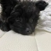 A‎♡の画像