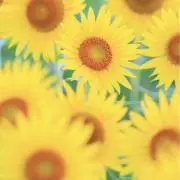 HIMAの画像
