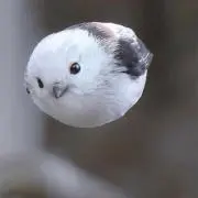 k y