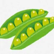 豆子の画像