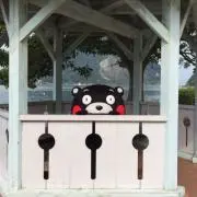 baraの画像