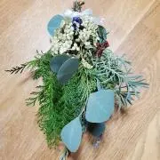 ユーカリポポラスの画像