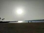 テツの画像