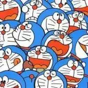 どらねこの画像