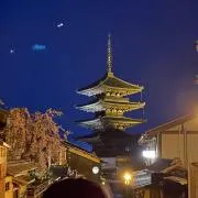 たろちの画像