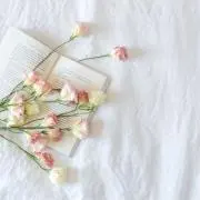 Ꮇegの画像