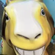 コシろーの画像