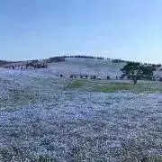 UCの画像