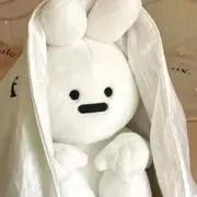 ごりなの画像