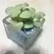 即購入大歓迎です。…♡の画像