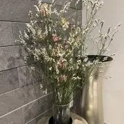 emikoの画像