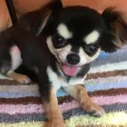 リチュー