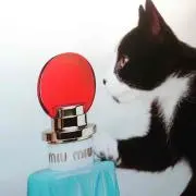 85の画像