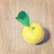 SASJの画像