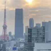 ぴーちゃんの画像