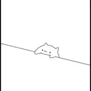 ピッピの画像