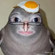 斉藤の画像