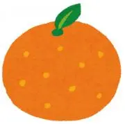 ミカンの画像