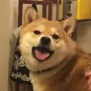 yukicrowesの画像