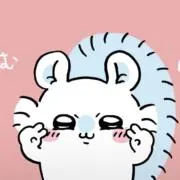 SEI_の画像