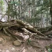 うーたん