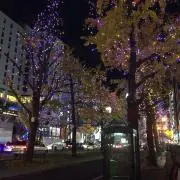 タビの画像