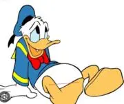 ダックの画像