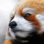 ちゃん※プロフ必読※の画像