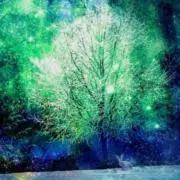 nas (プロフ必読)の画像