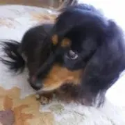 エイミィ