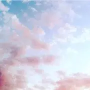 saeの画像